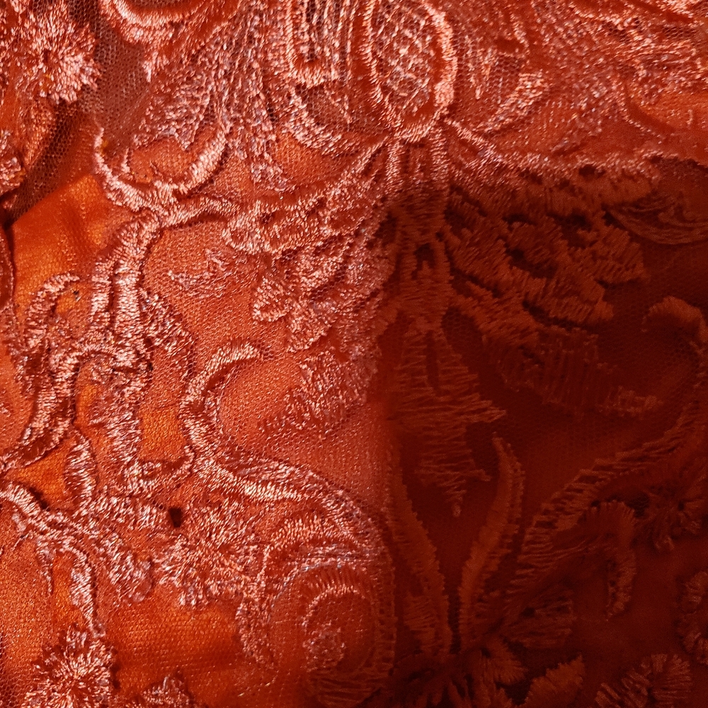 Girls Red Ballroom Dress,Size 6,Absolutely Gorgeous! - Picture 4 of 8